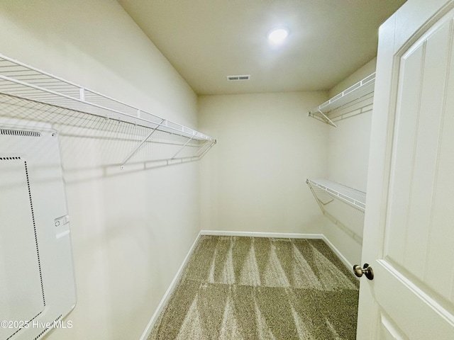 spacious closet featuring carpet floors