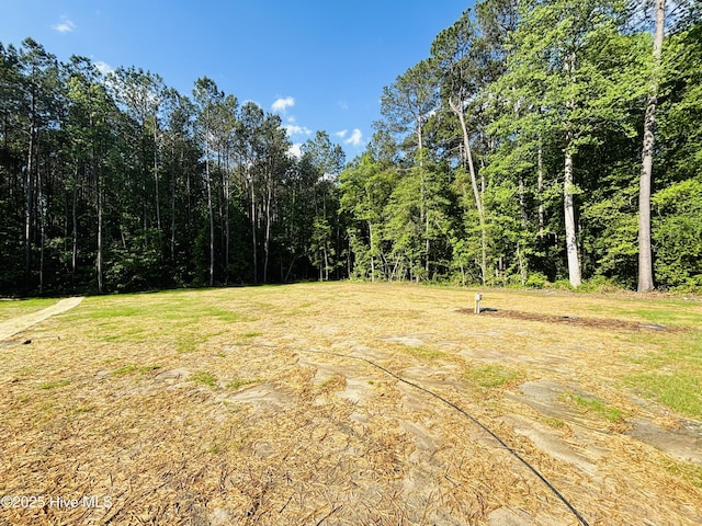 view of local wilderness