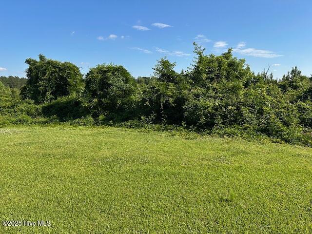 8019 W Tarboro Rd, Rocky Mount, NC 27803 - view of undeveloped land