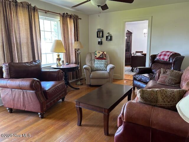 8019 W Tarboro Rd, Rocky Mount, NC 27803 - living room with a ceiling fan and light wood-type flooring