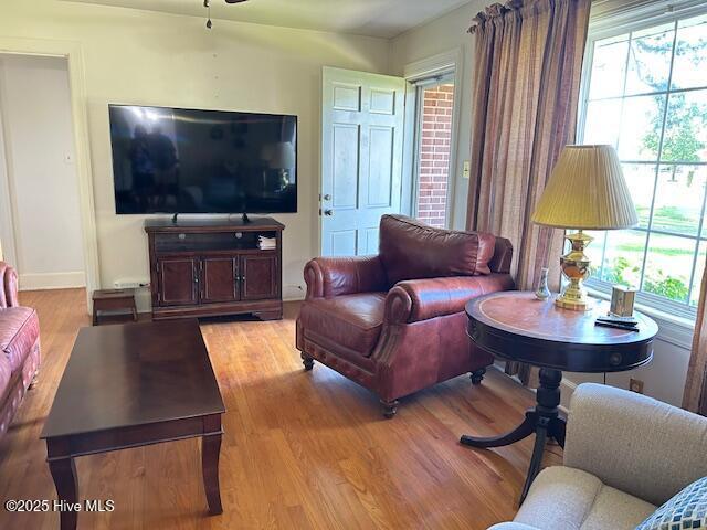 8019 W Tarboro Rd, Rocky Mount, NC 27803 - living area featuring healthy amount of natural light, light wood-type flooring, baseboards, and a ceiling fan