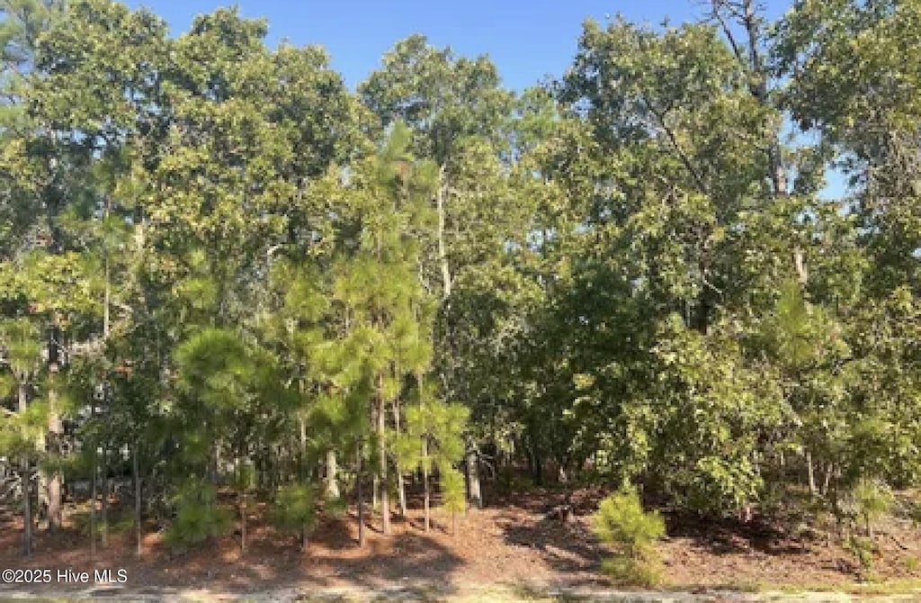180 Longleaf Dr, Seven Lakes, NC 27376