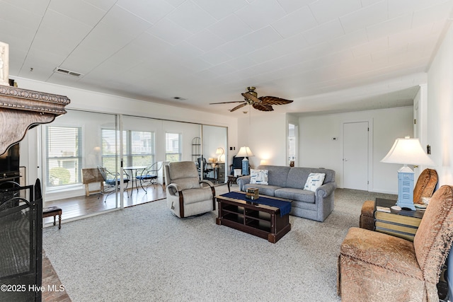 living area with a ceiling fan