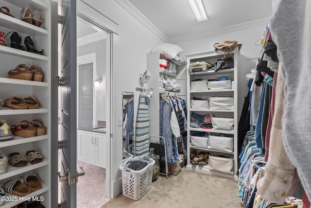 212 Cornubia Dr, Castle Hayne, NC 28429 - walk in closet with carpet flooring