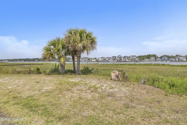 view of yard with a water view