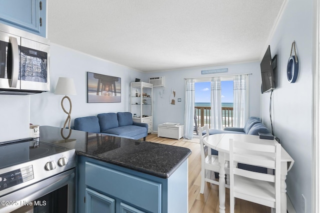 kitchen featuring appliances with stainless steel finishes, open floor plan, a peninsula, a textured ceiling, and blue cabinets