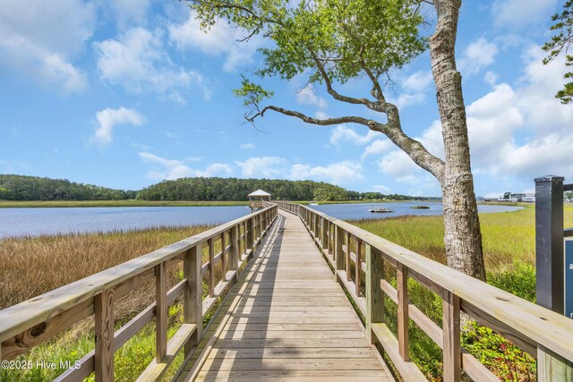 dock with a water view