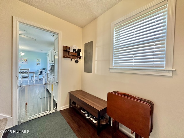207 Rhonda Rd, Elizabeth City, NC 27909 - doorway featuring electric panel, baseboards, and a textured ceiling