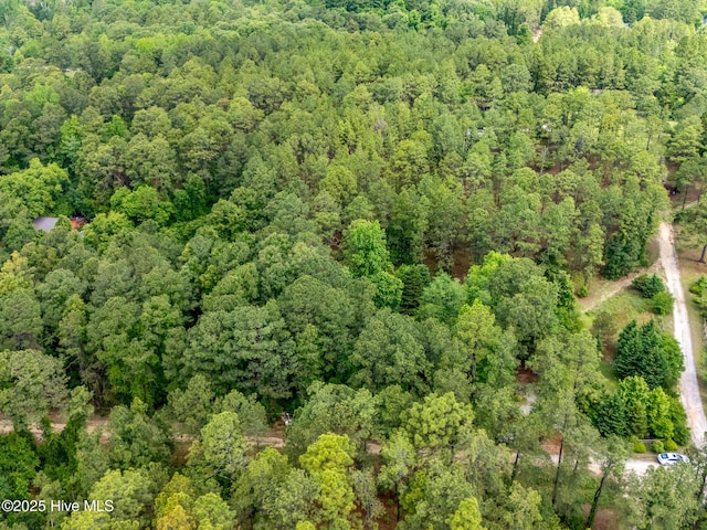 366 Ampersand Rd, Aberdeen, NC 28315 - aerial view of property and surrounding area with a forest
