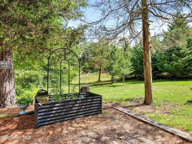 366 Ampersand Rd, Aberdeen, NC 28315 - view of green lawn