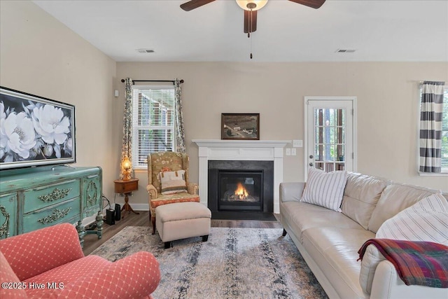 145 Cabin Branch Dr, Carthage, NC 28327 - living room featuring healthy amount of natural light, wood finished floors, a ceiling fan, and a premium fireplace