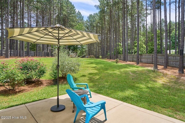 145 Cabin Branch Dr, Carthage, NC 28327 - view of yard with a patio area