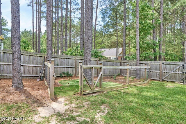 145 Cabin Branch Dr, Carthage, NC 28327 - view of yard