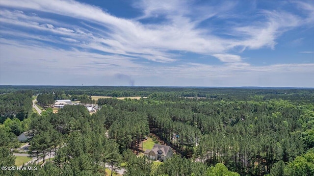 145 Cabin Branch Dr, Carthage, NC 28327 - bird's eye view of a forest