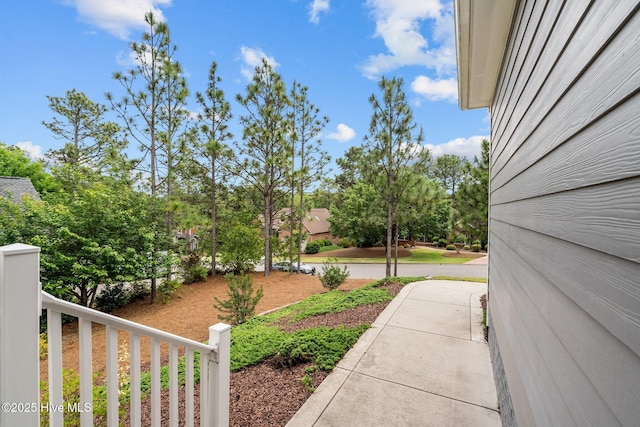 125 Steeplechase Way, Southern Pines, NC 28387 - view of yard