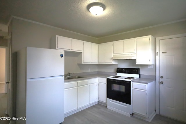 420 New River Dr, Jacksonville, NC 28540 - kitchen with freestanding refrigerator, electric stove, under cabinet range hood, a sink, and light wood-type flooring