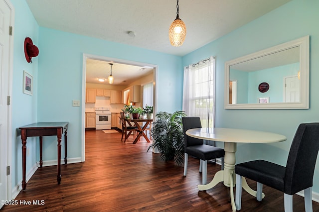 229 Red Carnation Dr, Holly Ridge, NC 28445 - dining space featuring dark wood-style floors and baseboards