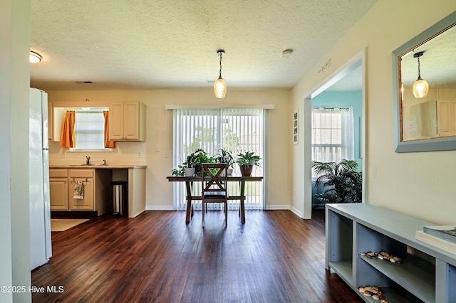 229 Red Carnation Dr, Holly Ridge, NC 28445 - dining space featuring dark wood-style floors, plenty of natural light, a textured ceiling, and baseboards