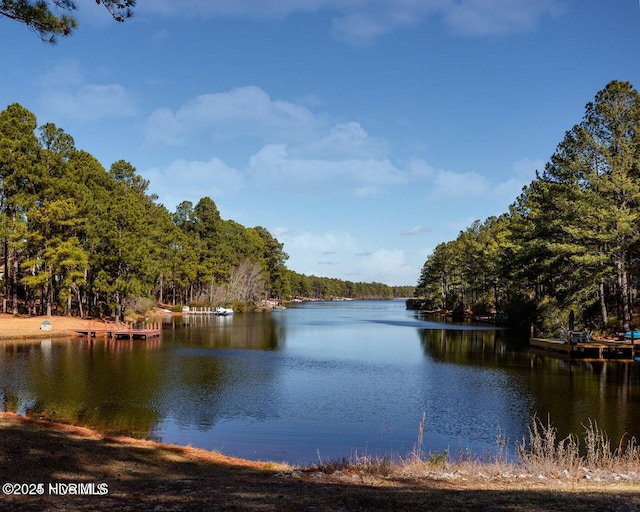 30080 Loblolly Ct, Wagram, NC 28396 - water view with a forest