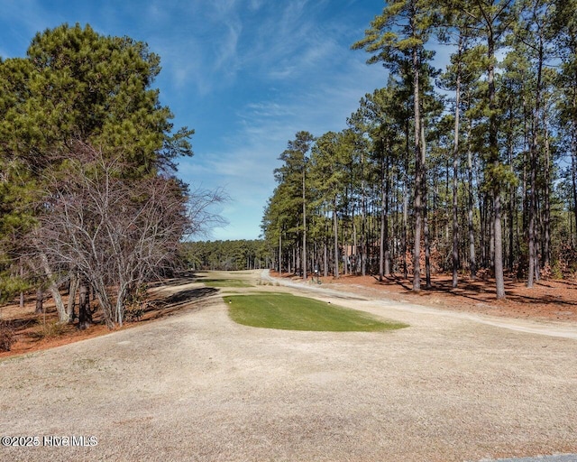 30080 Loblolly Ct, Wagram, NC 28396 - view of street
