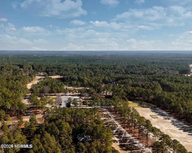 30080 Loblolly Ct, Wagram, NC 28396 - drone / aerial view of a heavily wooded area