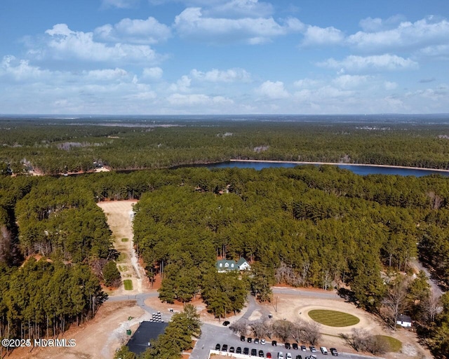 30080 Loblolly Ct, Wagram, NC 28396 - bird's eye view of a forest and a large body of water