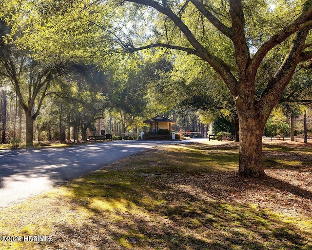 30080 Loblolly Ct, Wagram, NC 28396 - view of community