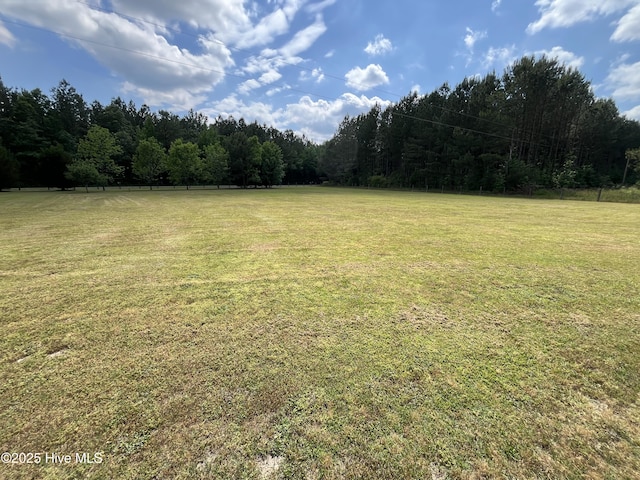 2483 Mcneill Hobbs Rd, Bunnlevel, NC 28323 - view of grassy yard featuring a wooded view