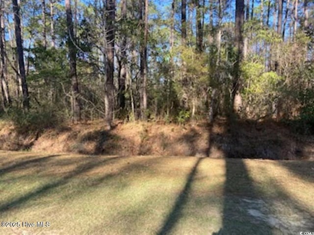 9 Gumwood Dr Unit 8, Carolina Shores, NC 28467