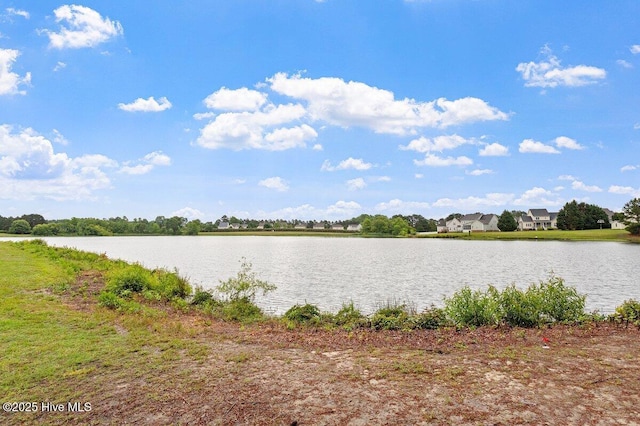 270 Wembley Dr, Clayton, NC 27527 - water view