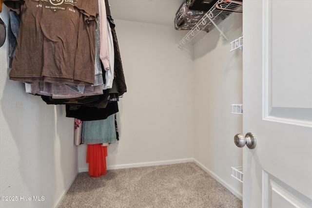 137 Gander Dr, Moyock, NC 27958 - walk in closet with carpet floors