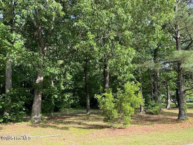 221 Bay Point Dr Unit 2, Edenton, NC 27932