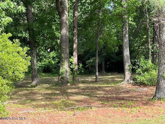 221 Bay Point Dr Unit 2, Edenton, NC 27932