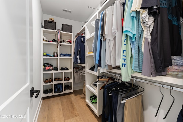 spacious closet with wood finished floors