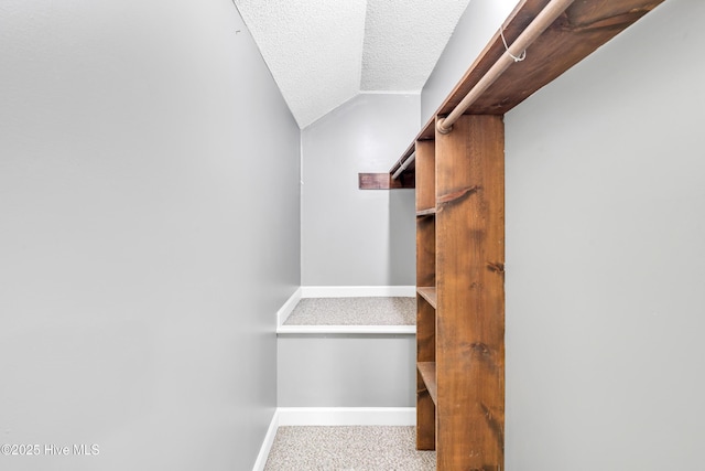 103 E Raintree Ln, Goldsboro, NC 27534 - spacious closet featuring vaulted ceiling and carpet floors