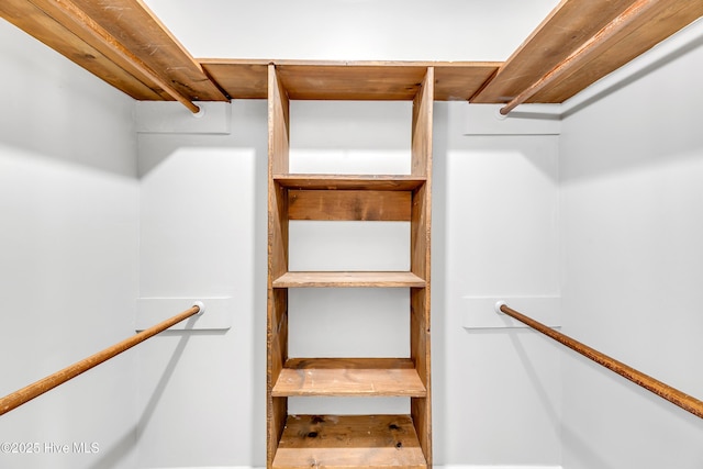 103 E Raintree Ln, Goldsboro, NC 27534 - view of walk in closet