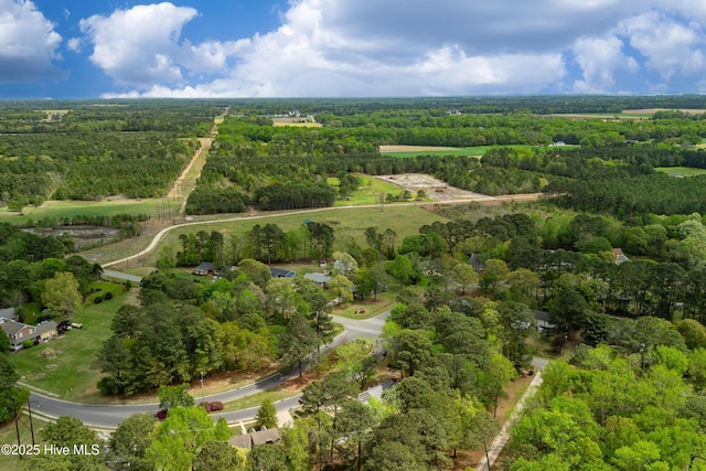 103 E Raintree Ln, Goldsboro, NC 27534 - aerial view of property's location with a forest