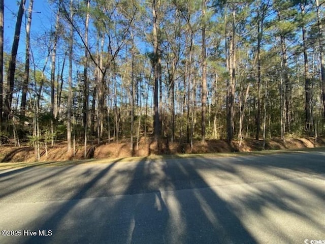 13 Myrtlewood Dr SW Unit 11, Calabash, NC 28467