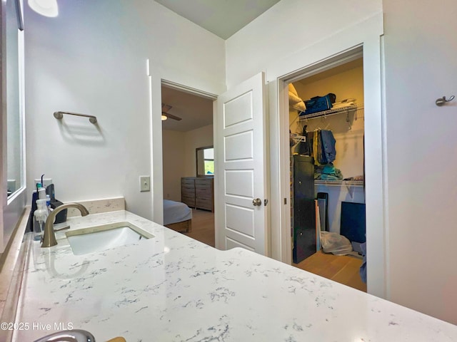 bathroom featuring a sink, connected bathroom, a spacious closet, and wood finished floors