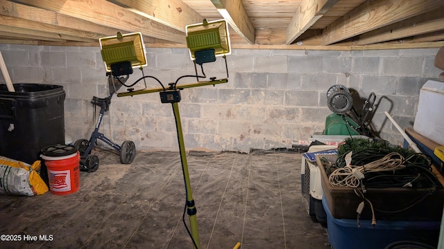 view of unfinished basement