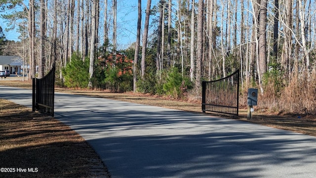 view of asphalt road with a gate and street lights