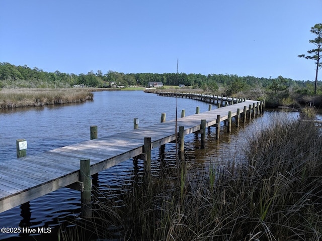 dock with a water view and a forest view