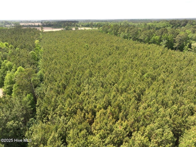 0 Eds Grocery Rd, Williamston, NC 27892