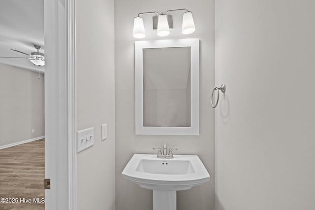 254 Great Egret Way, Beaufort, NC 28516 - bathroom with ceiling fan, wood finished floors, and a sink
