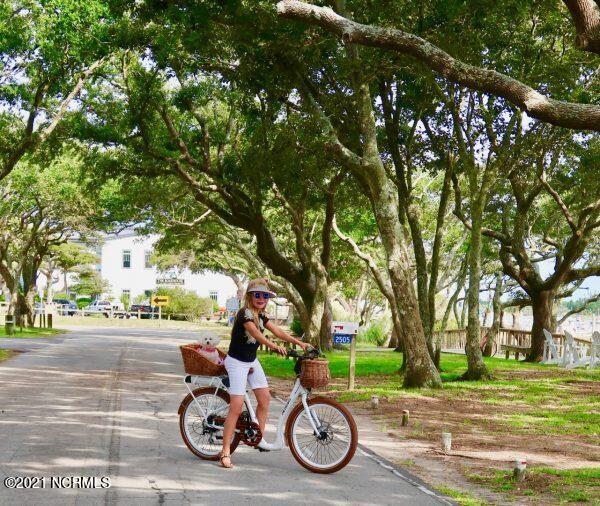 254 Great Egret Way, Beaufort, NC 28516 - view of community