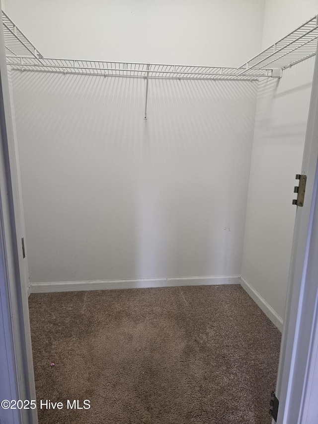 4 Cleek Ct, Carolina Shores, NC 28467 - spacious closet with carpet flooring