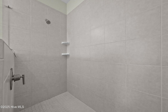 357 Spicer Lake Dr, Holly Ridge, NC 28445 - bathroom with tiled shower