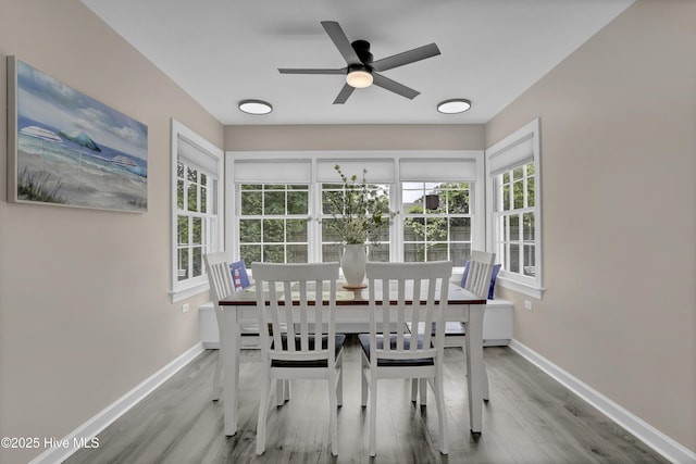 dining area featuring wood finished floors, baseboards, and a ceiling fan