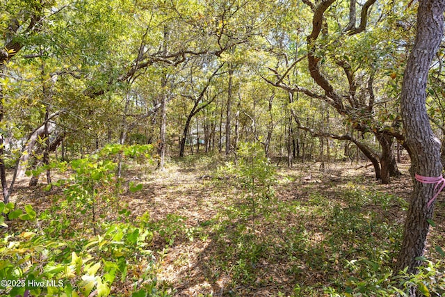 152 NE 1st St, Oak Island, NC 28465