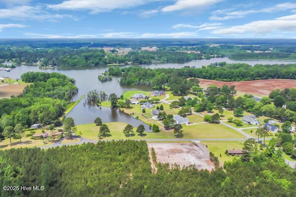bird's eye view of a nearby body of water